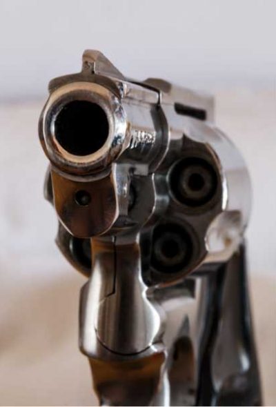Hanseatic Info - Firearms Hanseatic Services - Moving Firearms Information