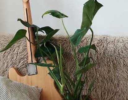 Moving Personal & Commercial Goods Hanseatic Moving Services - Personal Goods
