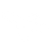 Image 2ss Image 2ss
